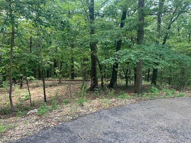 Tbd James River Rd, Kimberling City, MO 65686 - photo 5