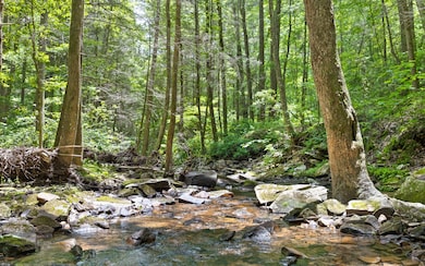 Lot 547 Wilderness Way, Dunlap, TN 37327 - photo 5