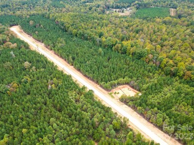 4A Hidden Forest Dr unit 4A, Denver, NC 28037 - photo 6