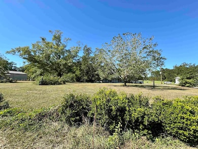 103 W Paulk Ave, Opp, AL 36467 - photo 6