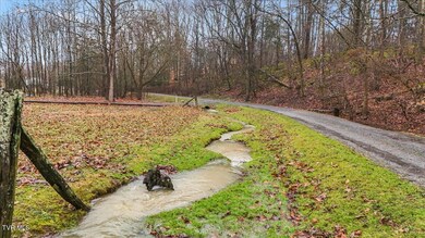 03-DJI_20250212164832_0167_D