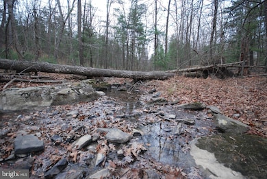Lot 52 Pony Express Ln, Augusta, WV 26704 - photo 7