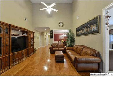 Amazing Living Room with breathtaking ceilings, ha