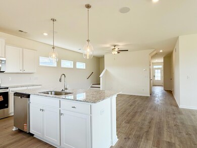 847 Coldsheet Dr unit Lot 83x3, Sumter, SC 29154 - photo 5