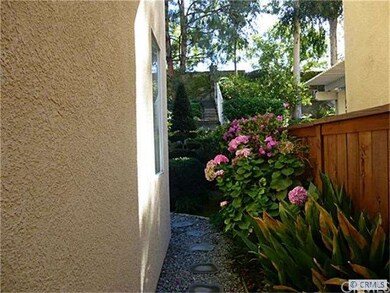 Well maintenance side yard