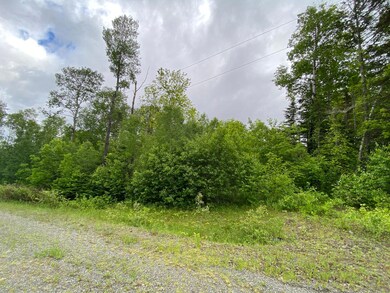 IMG-3412