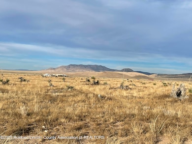 136 Gopher Gulch Loop, Carrizozo, NM 88301 - photo 5