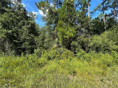 0 Liatrus Ln unit 7644973, Seminole, AL 36574 - photo 6