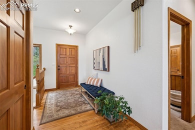 235 Winding Meadow Way, Monument, CO 80132 - photo 5