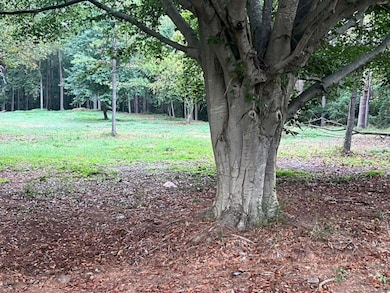 5160 Covington Hwy, Decatur, GA 30035 - photo 3