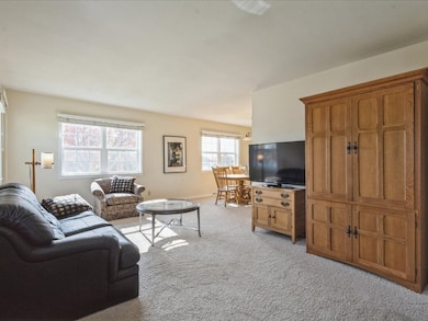 770 S 12th St, Marion, IA 52302 - photo 4