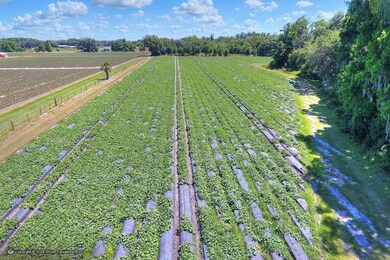 5625 Stafford Rd, Plant City, FL 33565 - photo 6