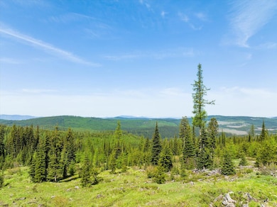 0 Griffin Creek Rd, Marion, MT 59925 - photo 4