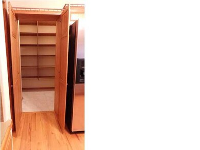Hidden walk-in pantry