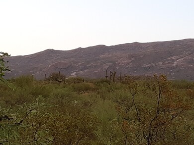 Back Yard View