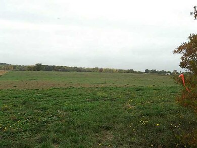 Other Cleared and ready for a home!