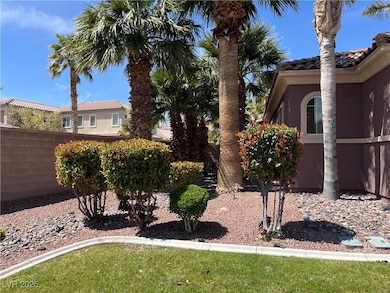 SIDE GRIVE OF PALM TREES