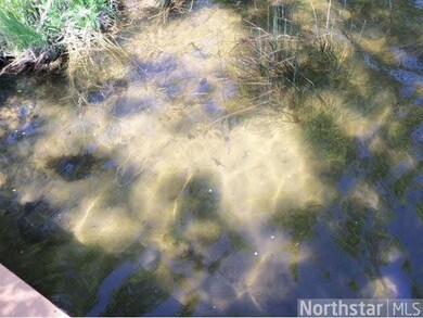 31108 Fish Trap Lake Ct, Cushing, MN 56443 - photo 7