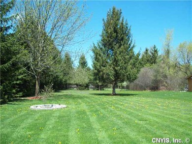 Yard/Garden