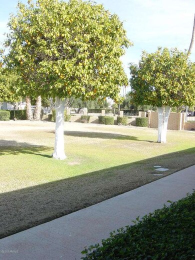 14028 N Thunderbird Blvd, Sun City, AZ 85351 - photo 7