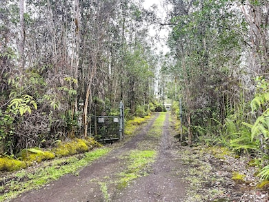 16-1088 Opeapea Rd, Mountain View, HI 96771 - photo 5