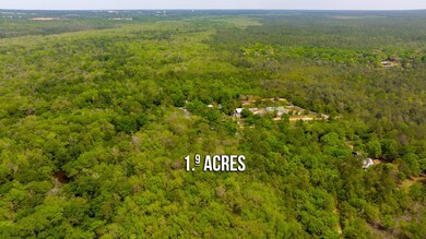 5-web-or-mls-Riverview Loop Parcel-5