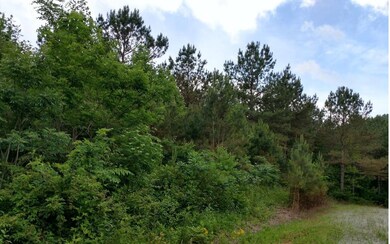 Additional View