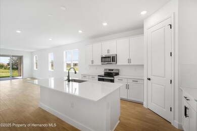 9176 Players Dr, Weeki Wachee, FL 34613 - photo 5