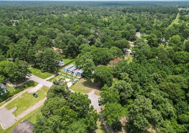 23911 Brushy Trails St, Hockley, TX 77447 - photo 6