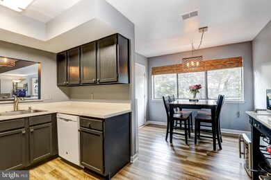 8007 Greenspring Way unit F, Owings Mills, MD 21117 - photo 4