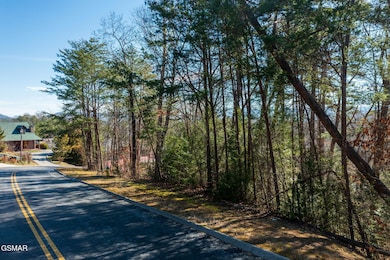 Lot 40 Kings Hills Blvd, Pigeon Forge, TN 37863 - photo 2