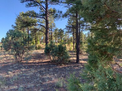 20200516013209855247000000-o