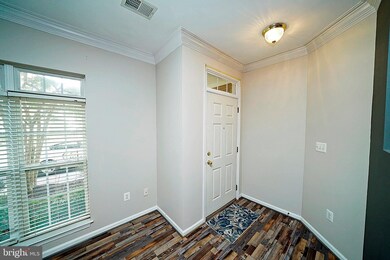 42232 Terrazzo Terrace, Stone Ridge, VA 20105 - photo 4