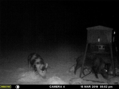 12368 County Road 129, Brownwood, TX 76801 - photo 4