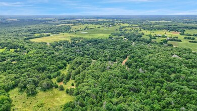 339 County Road 164, Whitesboro, TX 76273 - photo 2