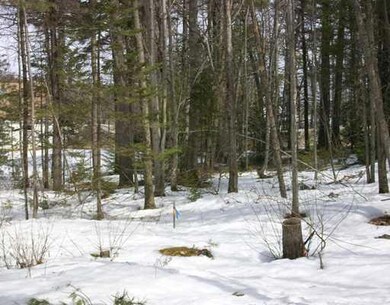 Land/Lot. Lot 10