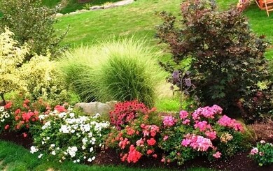 Here's a Sampling of Part of the Yard in Peak Seas