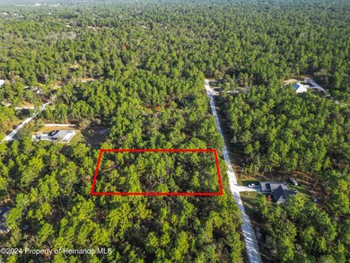 -0 Macek Road-2-Lot Lines