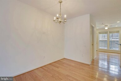 11202 Edson Park Place, Rockville, MD 20852 - photo 5