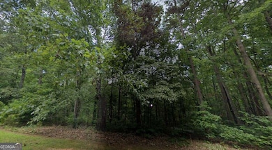 0 Doll Mountain Rd unit 10567230, Ellijay, GA 30540 - photo 5