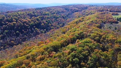 21710 Wc 274, Winslow, AR 72959 - photo 7