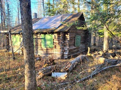 XXX Rapid River, Baudette, MN 56623 - photo 6