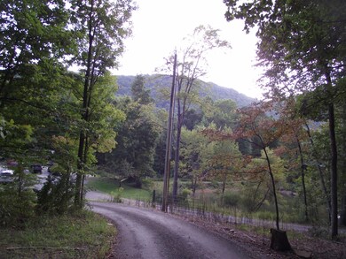 View #3