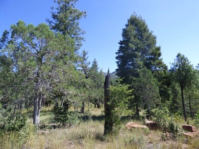P1000874