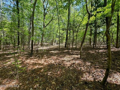 0 S Mcneill St, Carthage, NC 28327 - photo 5