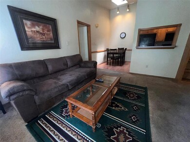 Carpeted living room featuring track lighting