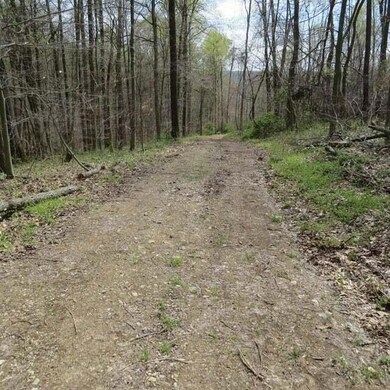 5885 Savage Hill Rd SE, Sugar Grove, OH 43155 - photo 4