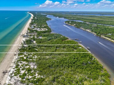 11799 Keewaydin, Naples, FL 34113 - photo 3