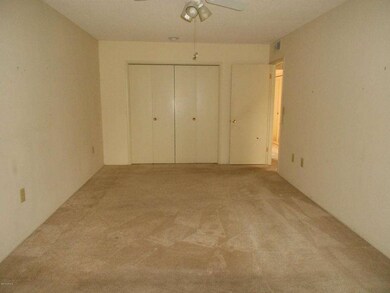 10701 W Caron Dr, Sun City, AZ 85351 - photo 6