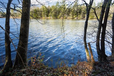 williams_realty_partners_Alfred_Land_001